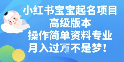 小红书宝宝起名项目高级版本,操作简单,资料专业,月入过W-三九网赚