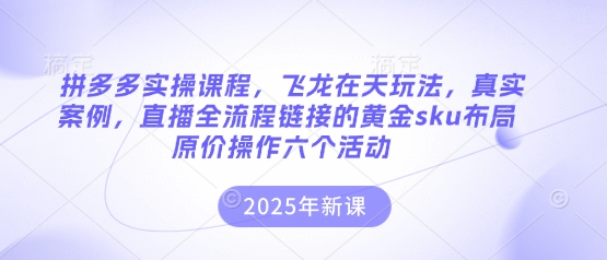 拼多多实操课程,飞龙在天玩法,真实案例,直播全流程链接的黄金sku布局原价操作六个活动-三九网赚