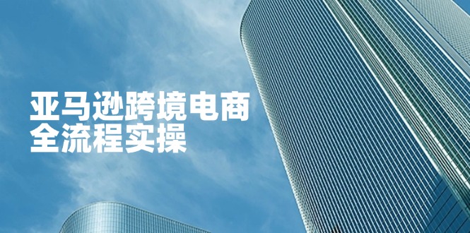 (14252期)亚马逊跨境电商全流程实操,教你从零开始,掌握店铺运营与广告技巧-三九网赚