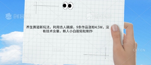 AI养生赛道新玩法,10条作品涨粉5.2W,操作简单,新人小白能轻松制作-三九网赚