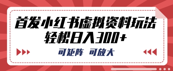 首发小红书虚拟资料玩法，可矩阵，可放大，轻松日入3张-三九网赚