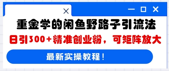 重金学的闲鱼野路子引流法,日引300+精准创业粉,可矩阵放大-三九网赚