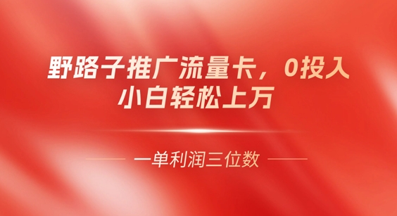0门槛推广流量卡,一单收益上百,0投入,小白月入过W-三九网赚