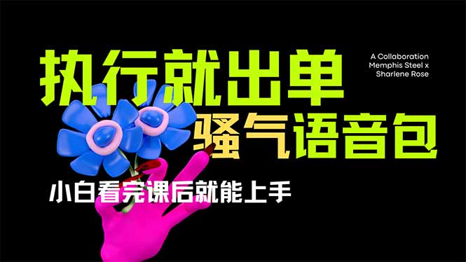 (14170期)爆火全网的开车导航骚气语音包,只要执行就出单,小白看完课程就能实操...-三九网赚