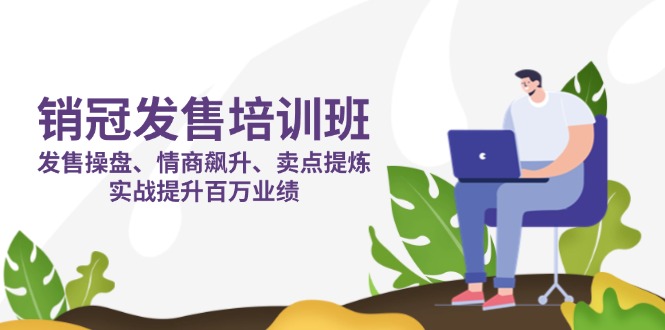 (14203期)销冠 发售培训班:发售 操盘+情商 飙升+卖点 提炼,实战提升百万业绩-三九网赚